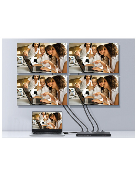 Equip 332717 HDMI 4x HDMI