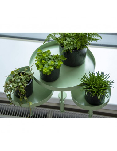 Esschert Design Vassoio per Piante con Morsetto Rotondo Verde L