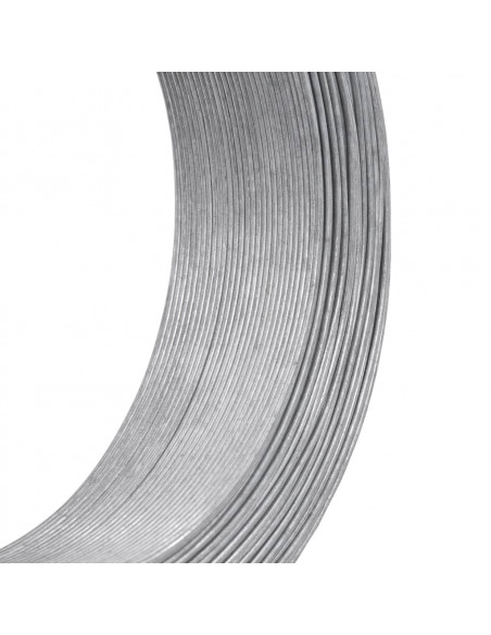 Filo per Recinzioni 250 m 2,5 mm in Acciaio