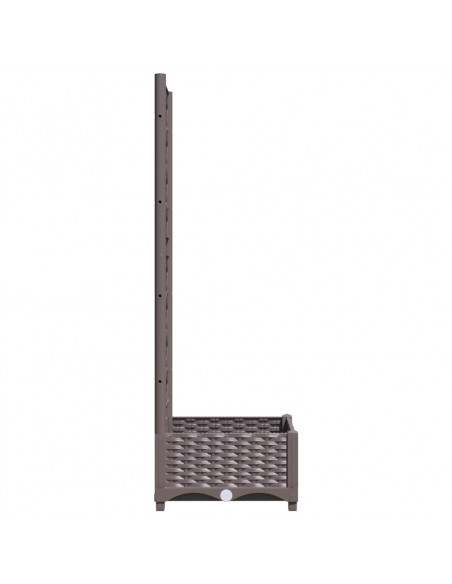 Fioriera da Giardino con Graticcio Marrone 40x40x121,5 cm in PP