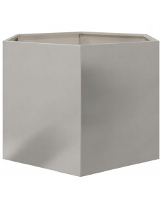 Fioriera da Giardino Esagono 69x60x45 cm in Acciaio Inox