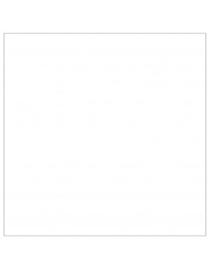 Gabbia per Cani Argento 100 m² in Acciaio