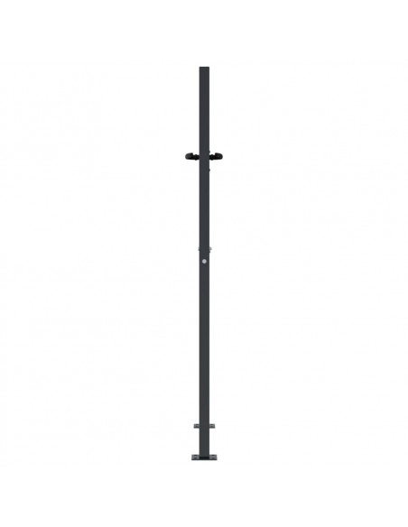 Cancello Giardino Antracite 105x155 cm in Acciaio Design Erba
