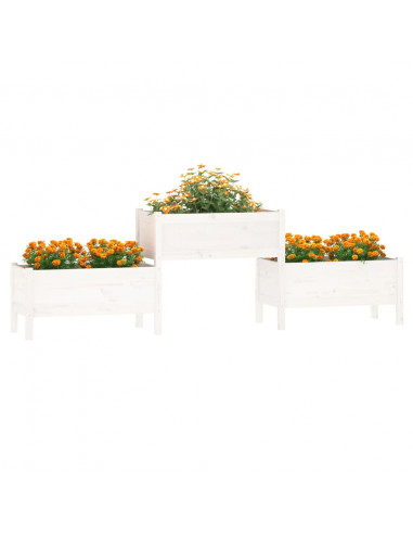 Fioriera Bianca 245,5x44x75 cm in Legno Massello di Pino