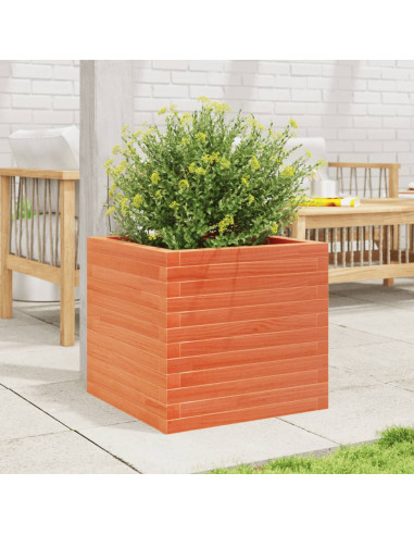 Fioriera Giardino Marrone Cera 50x50x45,5cm Legno Massello Pino