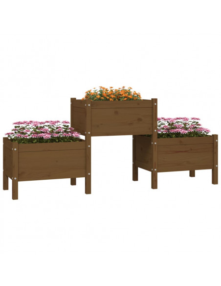 Fioriera Miele 178,5x44x75 cm in Legno Massello di Pino
