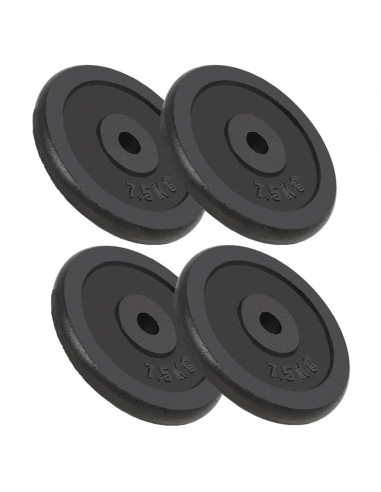 Dischi per Pesi 4 pz 4x7,5 kg in Ghisa