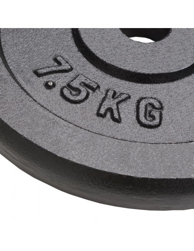 Dischi per Pesi 4 pz 4x7,5 kg in Ghisa