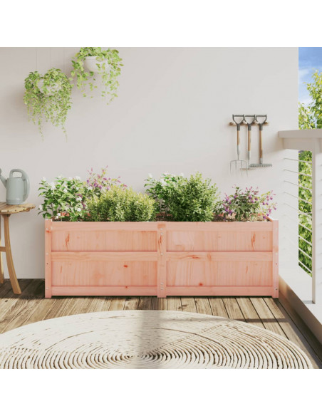 Fioriera da Giardino 150x50x50 cm in Legno Massello di Douglas