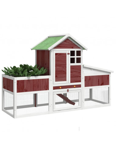 Conigliera Moka 170x63x113 cm in Legno Massello di Pino