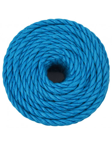 Corda da Lavoro Blu 14 mm 25 m in Polipropilene