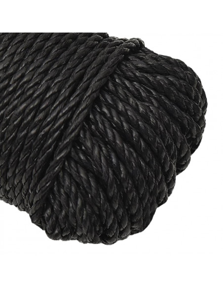 Corda da Lavoro Nera 6 mm 25 m in Polipropilene