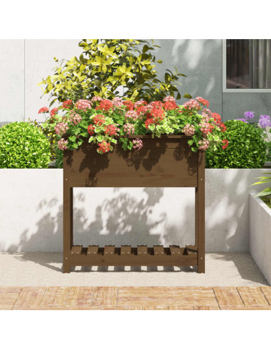 Fioriera con Mensola Miele 82,5x34,5x81 cm Legno Massello Pino