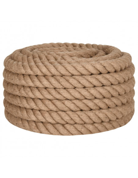 Corda in Juta Lunga 5 m Spessa 40 mm