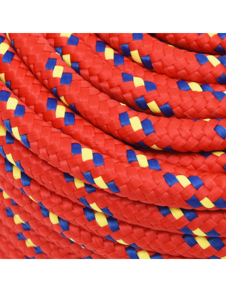 Corda Nautica Rossa 12 mm 25 m in Polipropilene