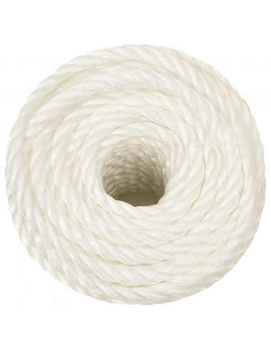 Corda da Lavoro Bianca 10 mm 25 m in Polipropilene