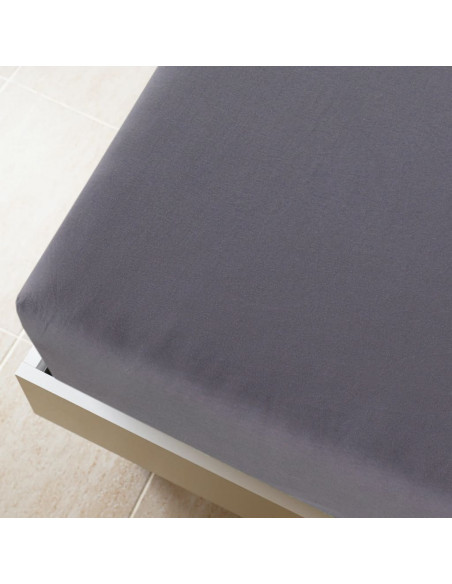 Lenzuola con Angoli Jersey 2 pz Antracite 140x200 cm Cotone