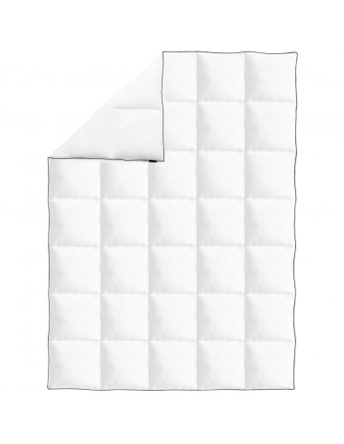 Piumone Invernale Piuma Anatra 150x200 cm