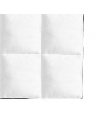 Piumone Invernale Piuma Anatra 150x200 cm