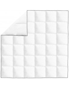 Piumone Invernale Piuma Anatra 200x200 cm 2