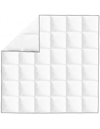 Piumone Invernale Piuma Anatra 200x200 cm