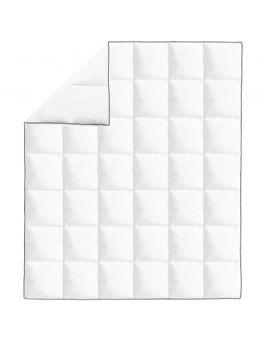 Piumone Invernale Piuma Anatra 200x220 cm