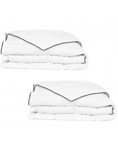 Piumone Invernale Piuma Anatra 2 pz 135x200 cm