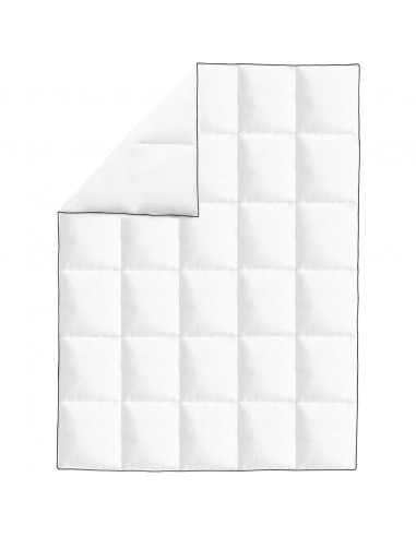 Piumone Invernale Piuma Anatra 2 pz 135x200 cm