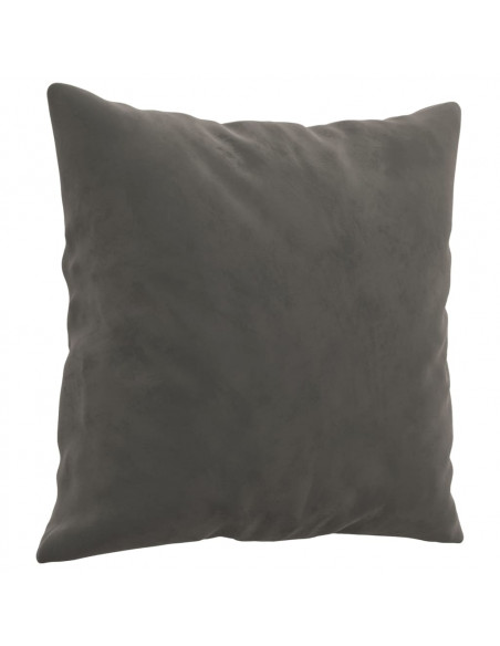Cuscini Decorativi 2 pz Grigio Scuro 40x40 cm in Velluto