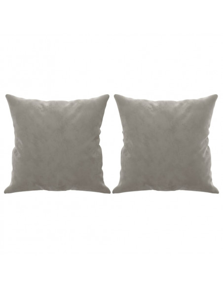 Cuscini Decorativi 2 pz Grigio Chiaro 40x40 cm in Velluto