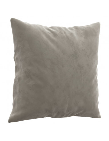Cuscini Decorativi 2 pz Grigio Chiaro 40x40 cm in Velluto