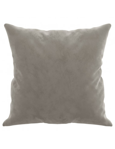 Cuscini Decorativi 2 pz Grigio Chiaro 40x40 cm in Velluto