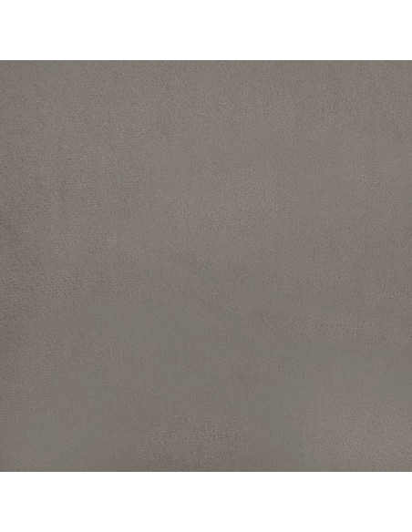 Cuscini Decorativi 2 pz Grigio Chiaro 40x40 cm in Velluto