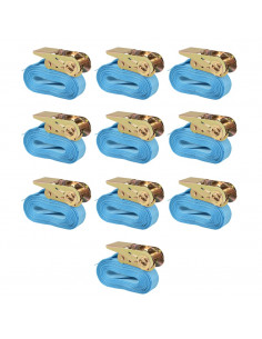 Cinghie d’Ancoraggio 10 pz a Cricchetto 0,8 T 4mx25mm Blu 2