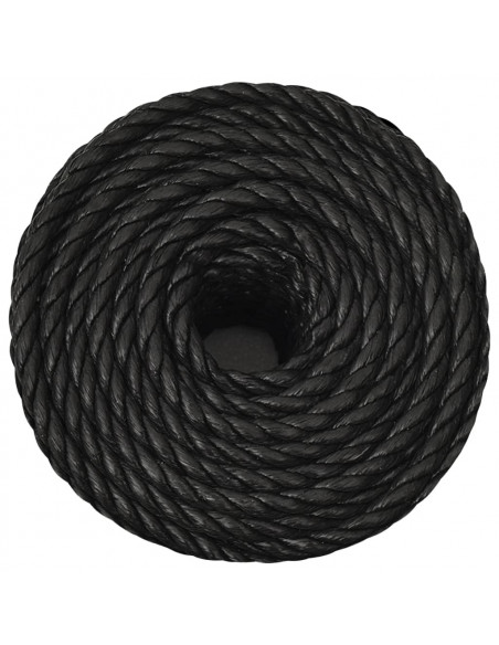 Corda da Lavoro Nera 12 mm 250 m in Polipropilene