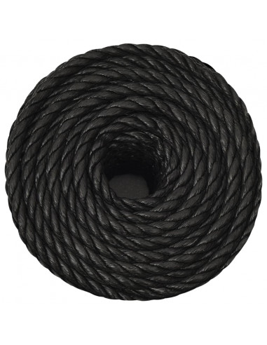 Corda da Lavoro Nera 16 mm 25 m in Polipropilene