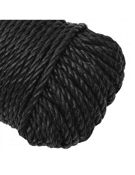 Corda da Lavoro Nera 3 mm 25 m in Polipropilene