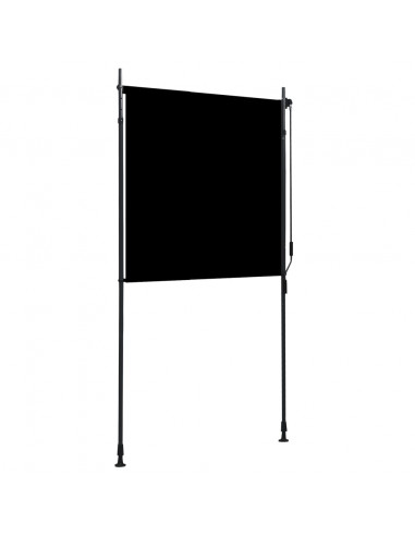 Tenda a Rullo per Esterni 120x270 cm Antracite