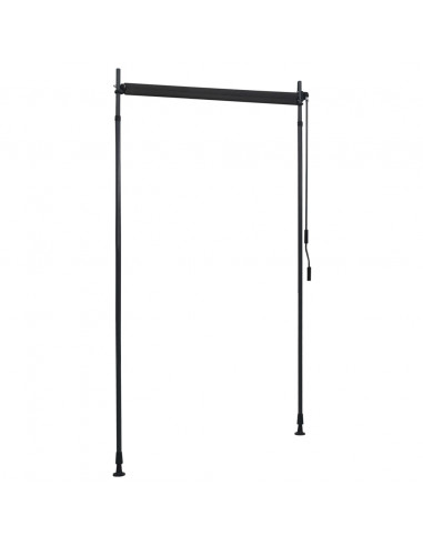 Tenda a Rullo per Esterni 120x270 cm Antracite