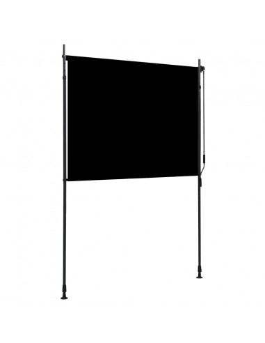 Tenda a Rullo per Esterni 150x270 cm Antracite