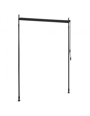 Tenda a Rullo per Esterni 150x270 cm Antracite