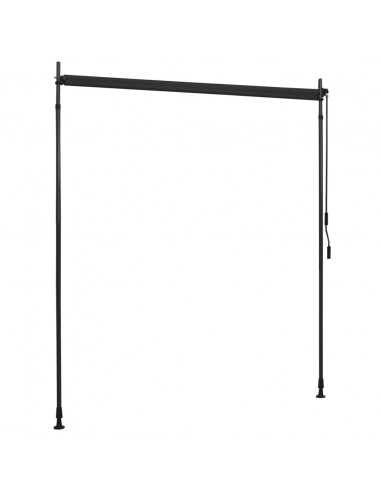 Tenda a Rullo per Esterni 200x270 cm Antracite