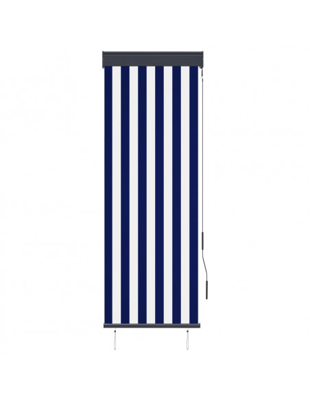 Tenda a Rullo per Esterni 60x250 cm Blu e Bianca