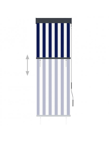 Tenda a Rullo per Esterni 60x250 cm Blu e Bianca