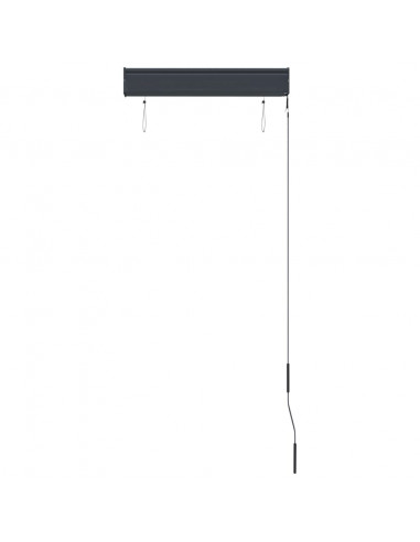 Tenda a Rullo per Esterni 60x250 cm Giallo e Blu