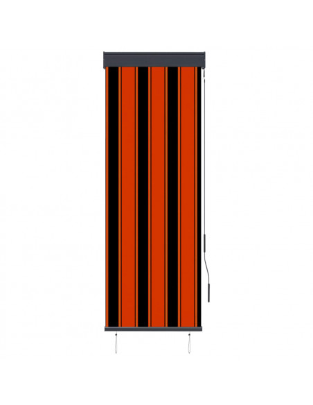 Tenda a Rullo per Esterni 60x250 cm Arancione e Marrone