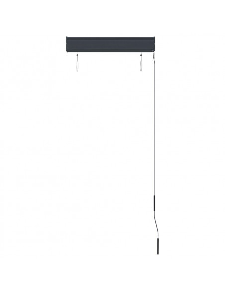 Tenda a Rullo per Esterni 60x250 cm Arancione e Marrone