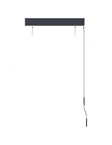 Tenda a Rullo per Esterni 80x250 cm Blu e Bianca