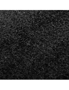 Zerbino Lavabile Nero 40x60 cm