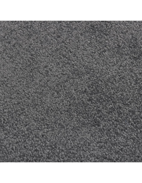 Zerbino Antracite 60x80 cm